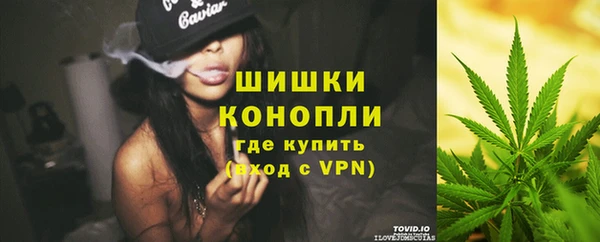 дурь Богородск
