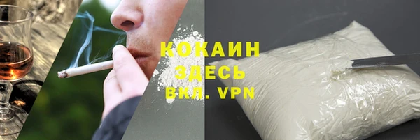 твердый Богородицк