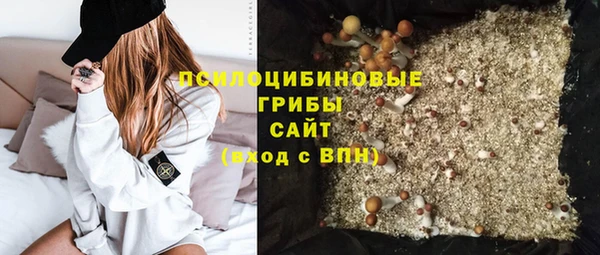 дживик Богданович