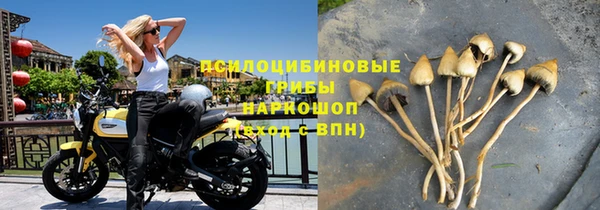дурь Богородск