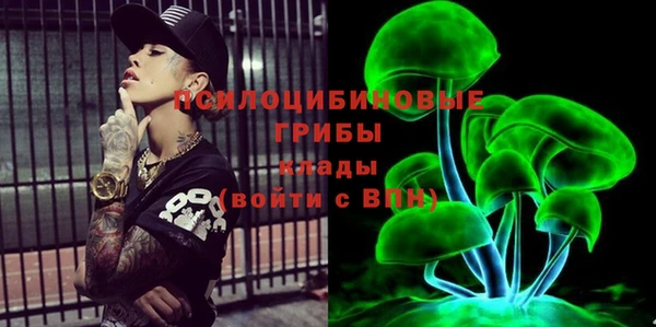 твердый Богородицк