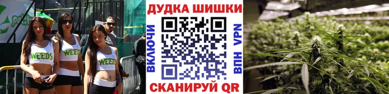 Марихуана сатива Новохопёрск